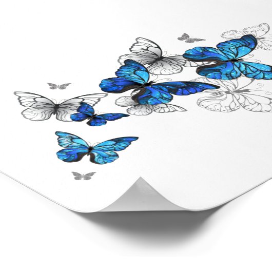 Blue Flying Butterflies Morpho Poster (Ecke)