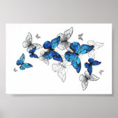 Blue Flying Butterflies Morpho Poster (Vorne)