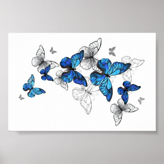 Blue Flying Butterflies Morpho Poster (Vorne)