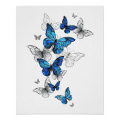 Blue Flying Butterflies Morpho Poster (Vorderseite)