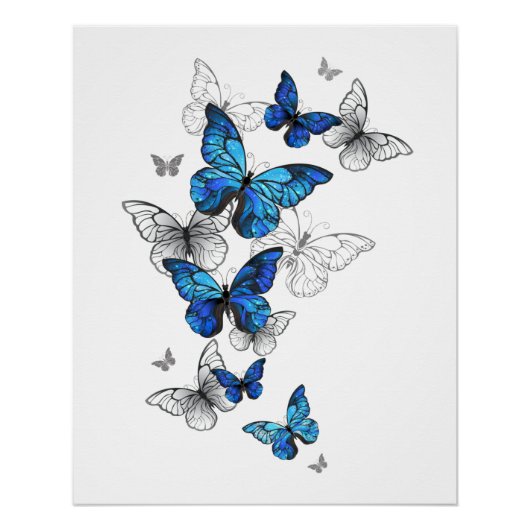 Blue Flying Butterflies Morpho Poster (Vorderseite)