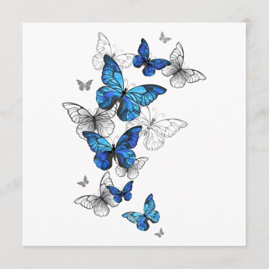 Blue Flying Butterflies Morpho Programm (Vorderseite)