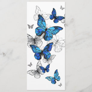 Blue Flying Butterflies Morpho Programm