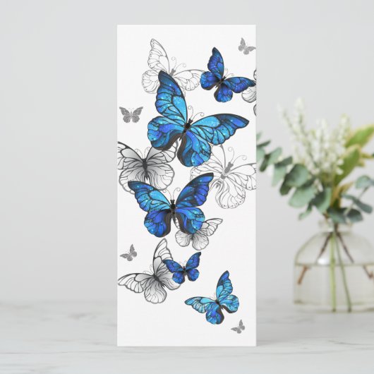 Blue Flying Butterflies Morpho Programm (Stehend Vorderseite)
