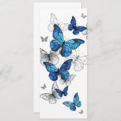 Blue Flying Butterflies Morpho Programm (Vorne/Hinten)