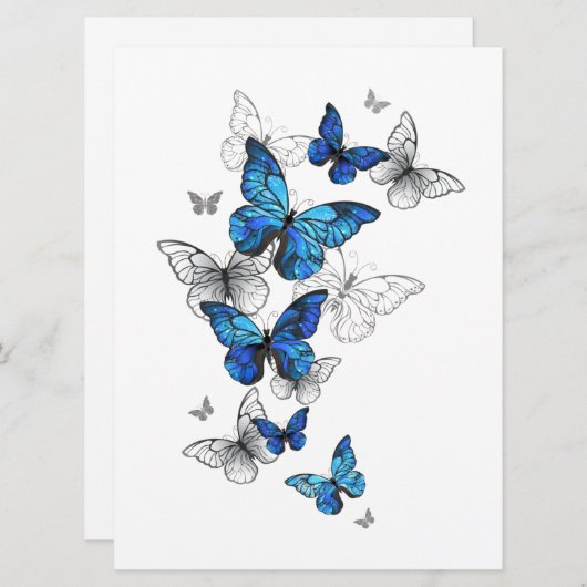 Blue Flying Butterflies Morpho Programm (Vorne/Hinten)