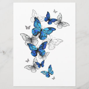 Blue Flying Butterflies Morpho Programm
