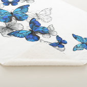 Blue Flying Butterflies Morpho Sherpadecke (3/4)