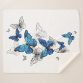 Blue Flying Butterflies Morpho Sherpadecke (Vorderseite (Horizontal))