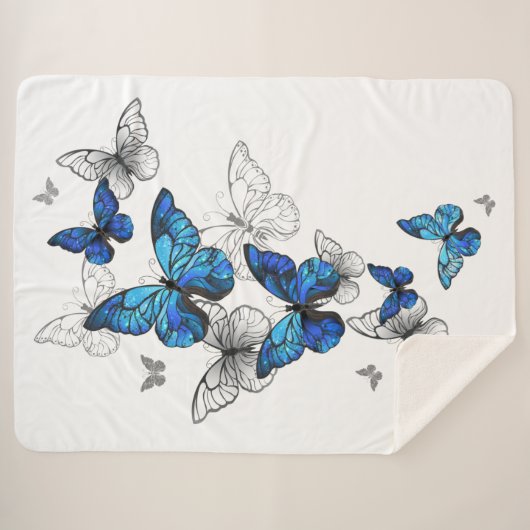 Blue Flying Butterflies Morpho Sherpadecke (Vorderseite (Horizontal))