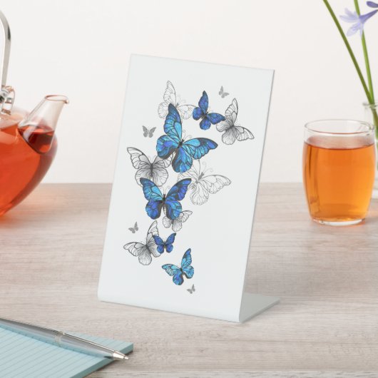Blue Flying Butterflies Morpho Sockelschild (In SItu)