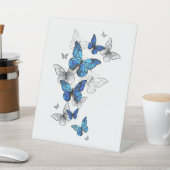 Blue Flying Butterflies Morpho Sockelschild (In SItu)