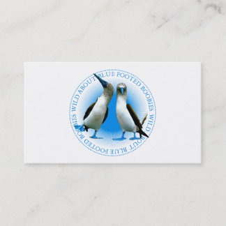 Blue Footed Boobies Bird Watching Guide Visitenkarte