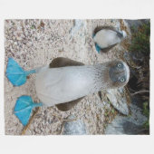 BLUE FOOTED BOOBY (Ehre, das ist sein Name) Fleecedecke (Vorderseite (Horizontal))