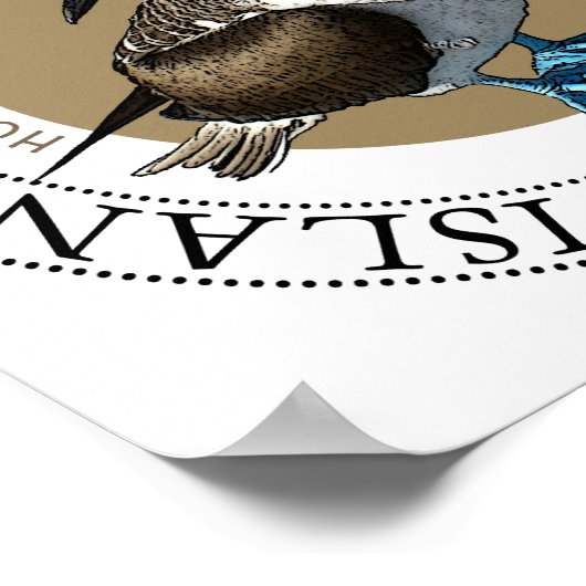 Blue Footed Booby Poster (Ecke)