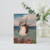 Blue Footed Booby Postkarte (Stehend Vorderseite)