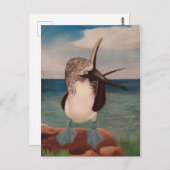 Blue Footed Booby Postkarte (Vorne/Hinten)