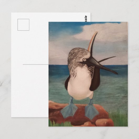 Blue Footed Booby Postkarte (Vorne/Hinten)