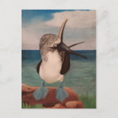 Blue Footed Booby Postkarte (Vorderseite)