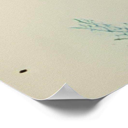 Blue Fox Rot und Weiße Blume Poster (Ecke)