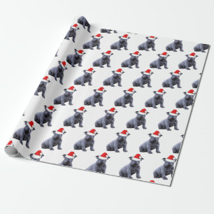 Blue Frenchie Bulldog Weihnachtsmannmütze Geschenkpapier