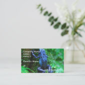 blue-frog-1.jpg visitenkarte (Stehend Vorderseite)