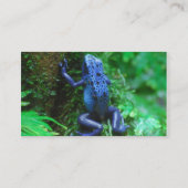 blue-frog-1.jpg visitenkarte (Rückseite)
