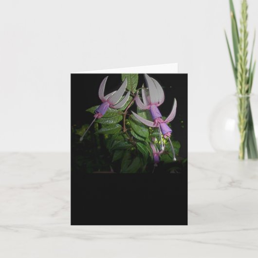 Blue Fushia Note Card Feiertagskarte (Vorderseite)