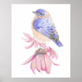 Blue Garden Bird of Western Bluebird Poster (Vorne)