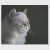 BLUE GAZE GESCHENKPAPIER (Flach)