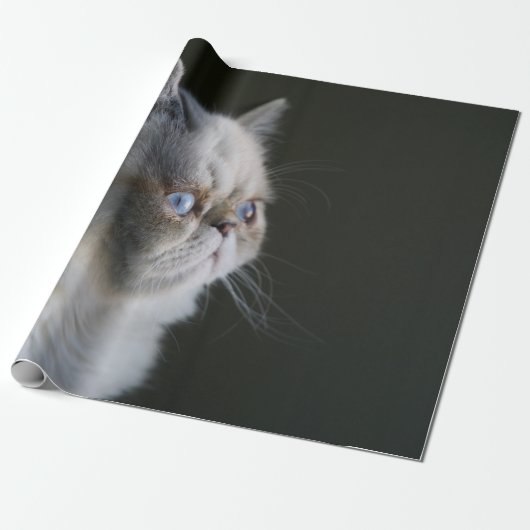 BLUE GAZE GESCHENKPAPIER (Ungerollt)