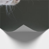 BLUE GAZE GESCHENKPAPIER (Ecke)