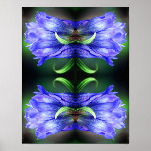 Blue Gentian Blume Abstrakt Art Poster