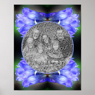 Blue Gentian Blume Frame erstellen Sie Ihr eigenes Poster