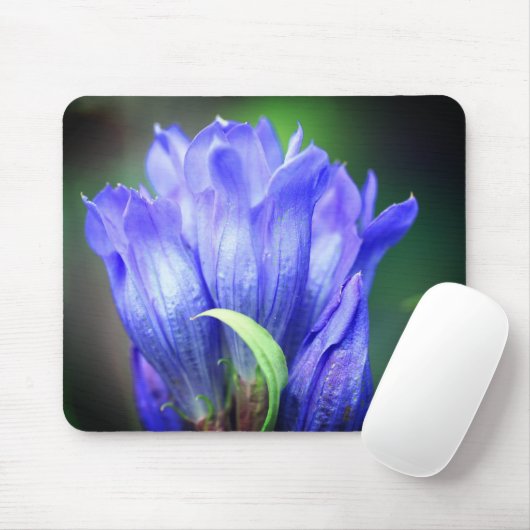 Blue Gentian Blume Mousepad (Mit Mouse)