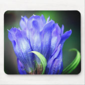 Blue Gentian Blume Mousepad (Vorne)