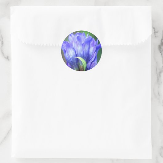 Blue Gentian Blume Runder Aufkleber (Tasche)