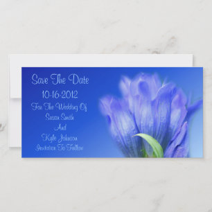 Blue Gentian Blume Wedding Save the Date