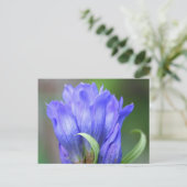 Blue Gentian Flower Fotografie Postcard Postkarte (Stehend Vorderseite)