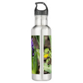 Blue Geocinth im Frühjahr Edelstahlflasche (Rückseite)