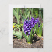 Blue Geocinth im Frühjahr Einladung (Vorderseite)