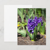 Blue Geocinth im Frühjahr Einladung (Vorne/Hinten)