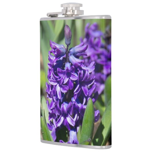 Blue Geocinth im Frühjahr Flachmann (Links)