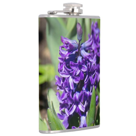 Blue Geocinth im Frühjahr Flachmann (Rechts)