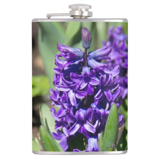 Blue Geocinth im Frühjahr Flachmann (Vorderseite)