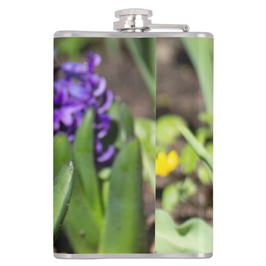 Blue Geocinth im Frühjahr Flachmann (Rückseite)