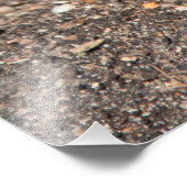 Blue Geocinth im Frühjahr Fotodruck (Ecke)