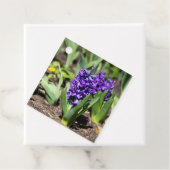 Blue Geocinth im Frühjahr Geschenkanhänger (Beispiel)