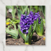 Blue Geocinth im Frühjahr Geschenkanhänger (Vorderseite)