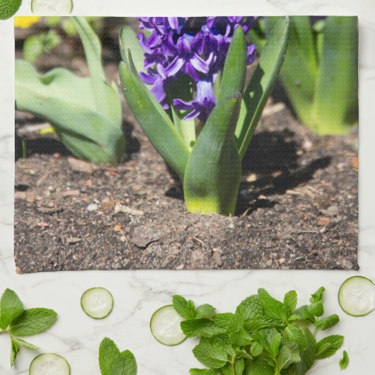 Blue Geocinth im Frühjahr Geschirrtuch (Gefaltet)